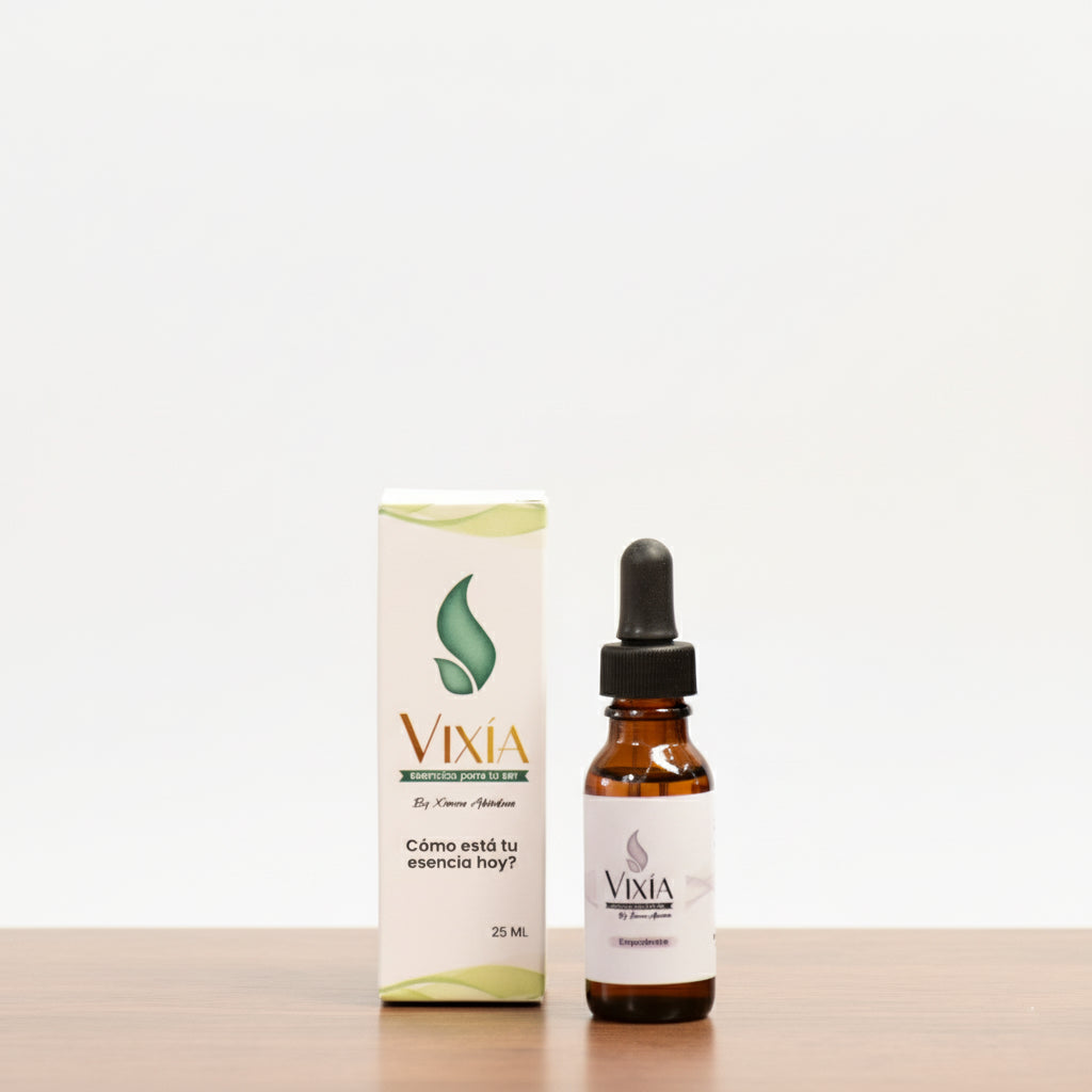 Conexión elementos VIXÍA